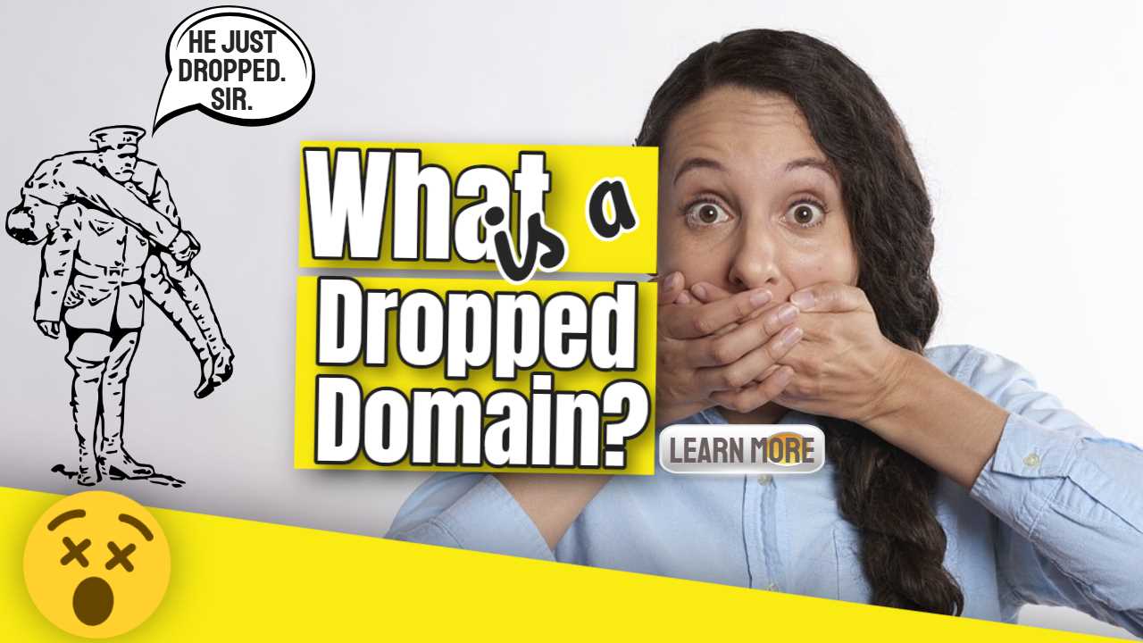 Featured image text: "What is a Dropped Domain?".