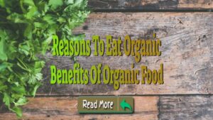 reasons to eat organic foods