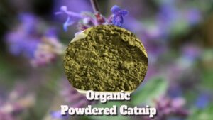 organic powdered catnip