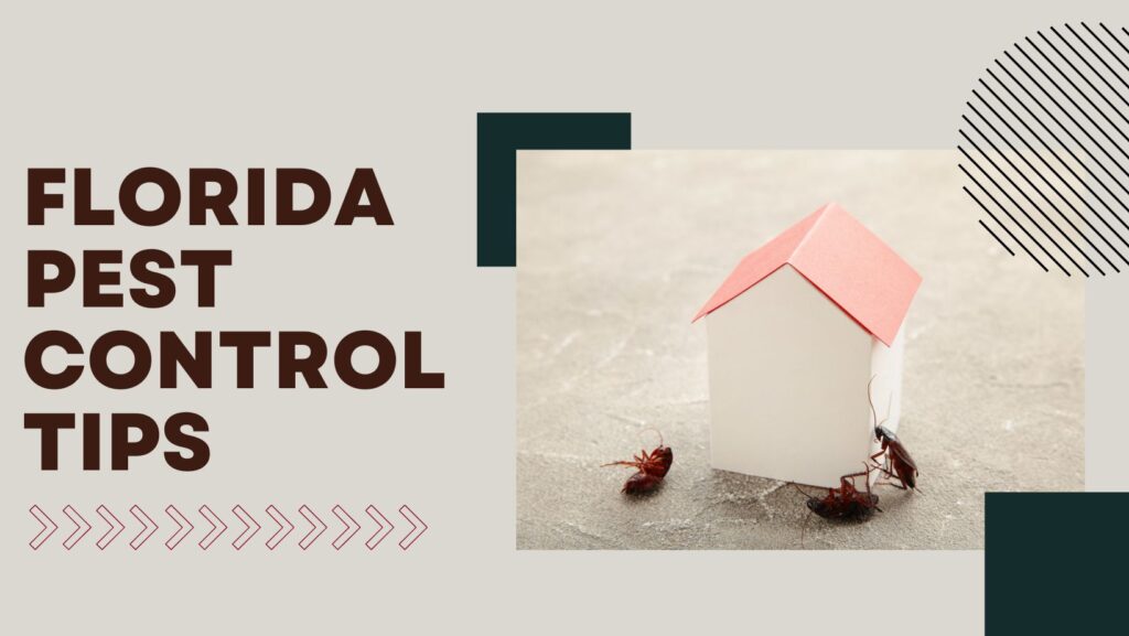 florida pest control tallahassee