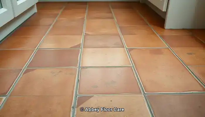 Identifying Key Factors Contributing to Rapid Dirt Accumulation on Terracotta Floors
